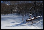 Sulla neve...#1