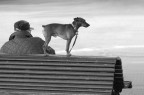 Il cane