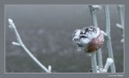 Sulla strada per il lavoro, ormai non c'era verso d'arrivare in tempo. Perch non fermarsi a fare qualche foto?

Commenti e critiche sempre ben accetti.

Finepix 5500