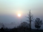 Morning fog