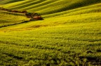 9379 al calar del sole