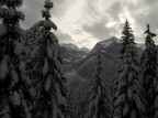 neve...