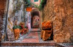 Cervo (IM)