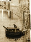 delta del po.... quando tutto si posa come un ombra alla fine del giorno
commenti e critiche sempre ben accetti