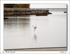 In punta di piedi