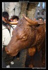 Mucca
