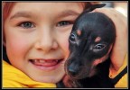 Cuccioli 2