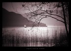 sogni nella notte