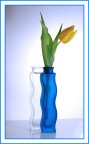 tulipano in vaso