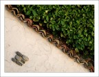 L'UOMO    LA NATURA