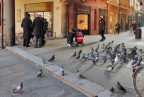 Ooooh..i piccioni...