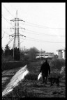 Desolazione...