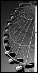 Ruota Panoramica