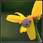 Che fatica arrivare quassù... Che fatica arrivare quassù...