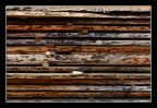 wood