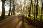 Nikon D100, Sigma 17-35mmD F2.8-4 ASP
Focale: 17mm
ISO: 200
1/30s F11