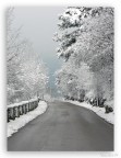 Un giorno d'inverno... Forse l'unico...