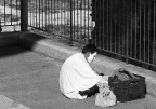 Ora di pranzo