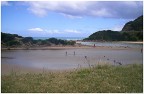 Aussi beach