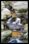 Un tratto di torrente nei pressi di Crissolo (CN) immerso nel bosco...

Minolta 5D - KM 18-70 Kit - F/22 - 1/2 Sec. - Cavalletto - a 70mm - ISO 100 - Manuale - Sviluppo da RAW