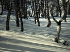 Luci, ombre e neve