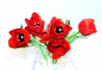 tulipani