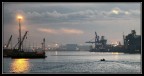 Il pescatore ritorna...