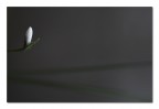 Minimalismo floreale