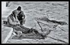 All'ombra dell'ultimo sole