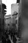 Siena
