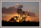 Spettacolare tramonto, in una giornata ventosissima, dopo aver assistito anche ad una tempesta di sabbia... questo e' il Red Center dell'Australia.