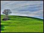 E' un esperimento... e nemmeno un vero HDR. Viene da un solo raw, ma volevo provare!