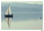 Reflection
