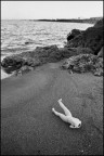 La spiaggia