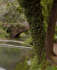 ALBERI