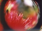 sfera magica...