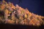 Autunno in Val Grande