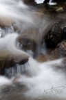 torrente