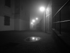 nella nebbia..