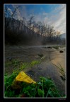 Yellow Stone