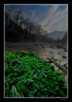 River Salad