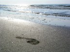 Jesolo (Ve) - Italy