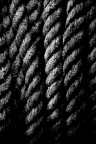 Texture