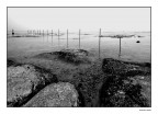 Lake Poles