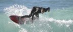 Surf 4