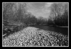 fiume ticino 01