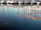 Alberi riflessi