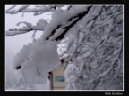 ... ne abbiamo tanta voglia!!