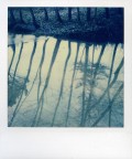 Reflex***