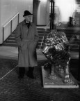 Vecchi Leoni